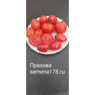 ПРАХОВА
