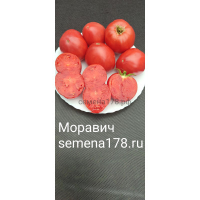 МОРАВИЧ