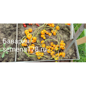 БАВАРИЯ