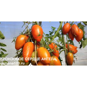 БРОНЗОВОЕ СЕРДЦЕ АНГЕЛА БРОНЗОВОЕ СЕРДЦЕ АНГЕЛА