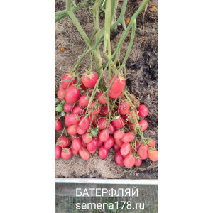 БАТТЕРФЛЯЙ (БАБОЧКА) БАТТЕРФЛЯЙ (БАБОЧКА)