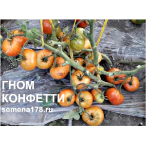 ГНОМ КОНФЕТТИ