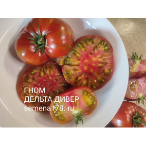 ГНОМ ДЕЛЬТА ДИВЕР (КРАСНЫЙ)