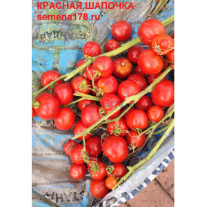 КРАСНАЯ ШАПОЧКА КРАСНАЯ ШАПОЧКА