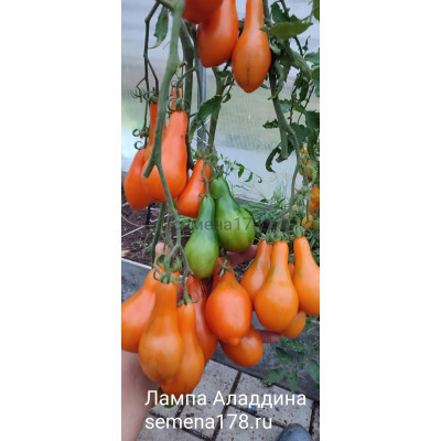 ЛАМПА АЛАДДИНА