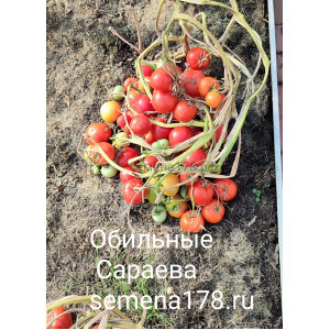 ОБИЛЬНЫЕ САРАЕВА