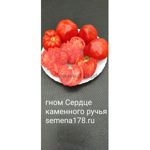 ГНОМ СЕРДЦЕ КАМЕННОГО РУЧЬЯ ГНОМ СЕРДЦЕ КАМЕННОГО РУЧЬЯ