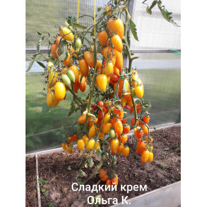 СЛАДКИЙ КРЕМ СЛАДКИЙ КРЕМ