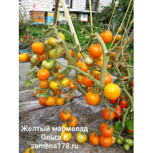 ЖЕЛТЫЙ МАРМЕЛАД