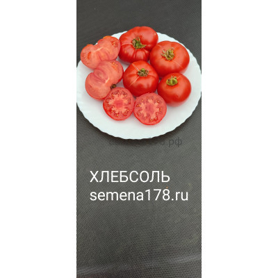 ХЛЕБСОЛЬ